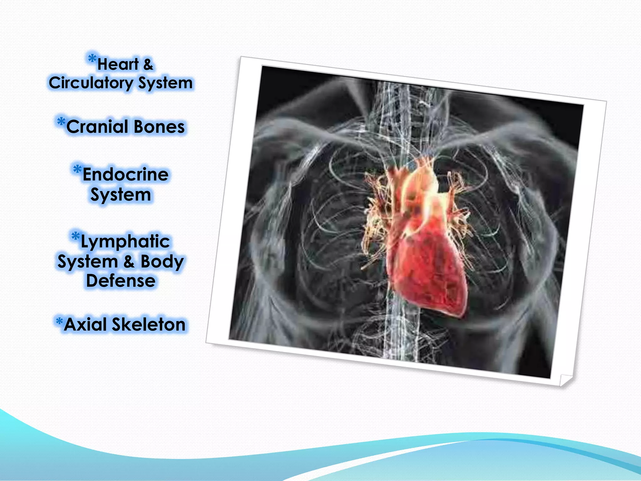 *Heart &
Circulatory System
*Cranial Bones
*Endocrine
System
*Lymphatic
System & Body
Defense
*Axial Skeleton