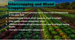 Comprehensive Soil Moisture Conservation Techniques for Sustainable ...