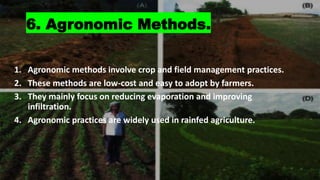 Comprehensive Soil Moisture Conservation Techniques for Sustainable ...