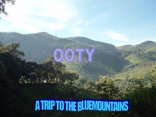 A TRIP TO THE BLUEMOUNTAINS OOTY 