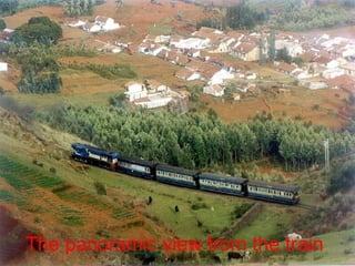The panoramic view from the train 