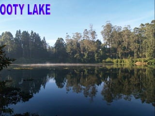 OOTY LAKE 