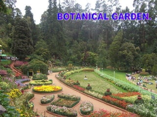 BOTANICAL GARDEN. 