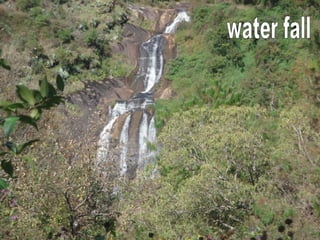 water fall 