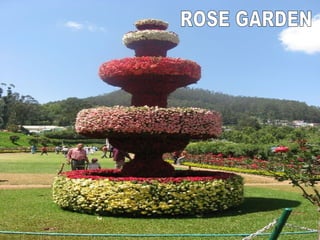 ROSE GARDEN 