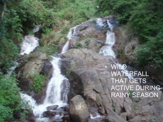 WILD WATERFALL THAT GETS ACTIVE DURING RAINY SEASON 