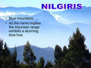 Blue mountains As the name implies the mountain range exhibits a stunning blue hue. NILGIRIS 