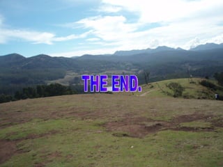 THE END. 
