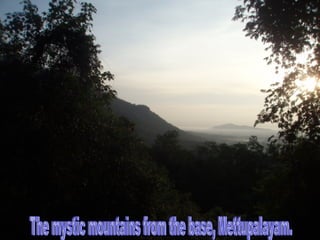 The mystic mountains from the base, Mettupalayam. 