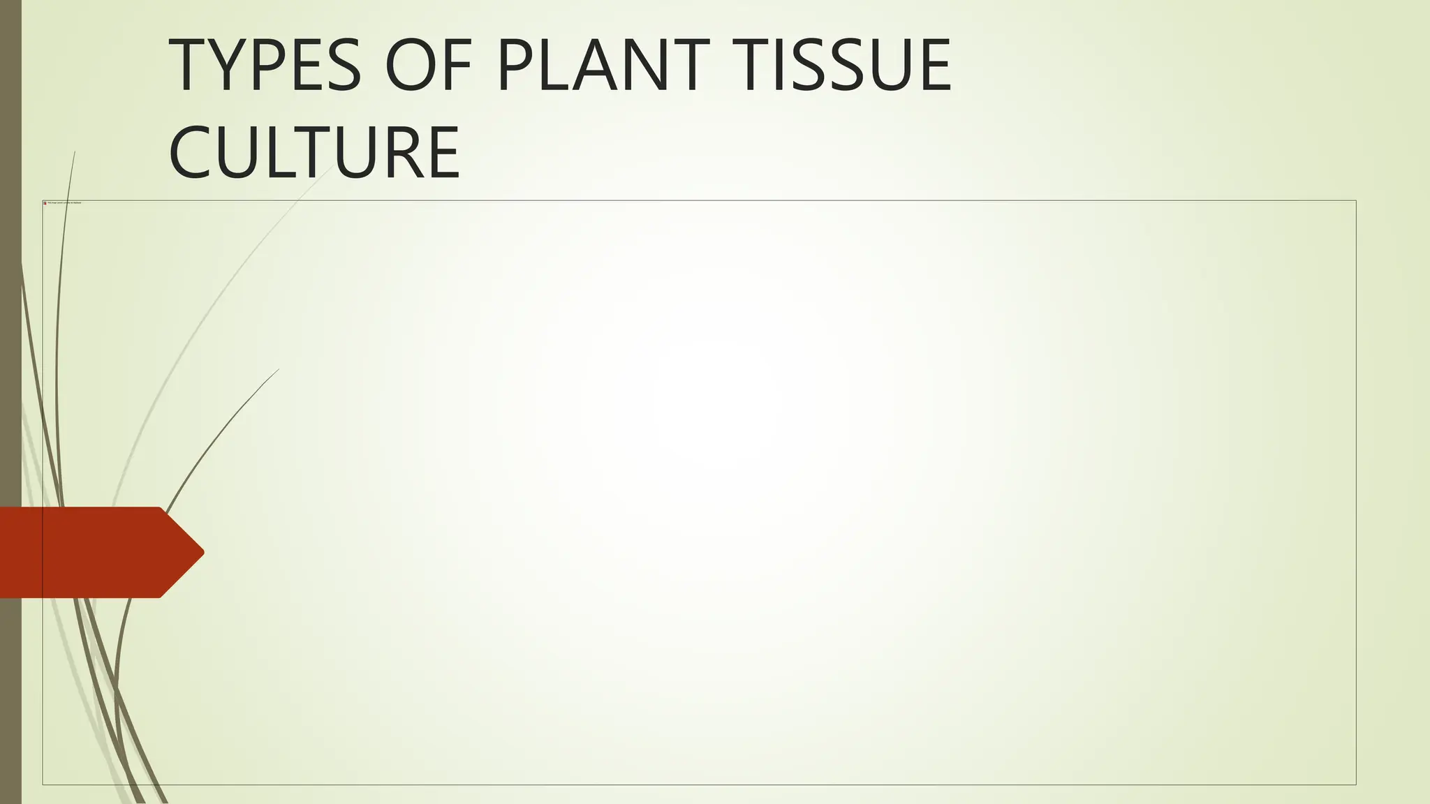 TYPES OF PLANT TISSUE
CULTURE
 