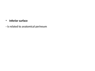 Presentation1 ruby mam.pptxxxxxxxxxxxxxxxx | PPTX