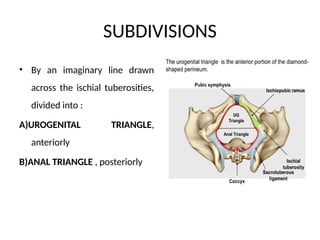 Presentation1 ruby mam.pptxxxxxxxxxxxxxxxx | PPTX