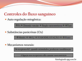 Controles do fluxo sanguíneo
 Auto regulação miogênica:



 Substâncias parácrinas (O2)



 Mecanismos neurais:
       Os receptores ß2 , quando estimulados, produzem vasodilatação

             A ligação nos recepetores alfa causam vasoconstrição
                                                    fisiologiaufs.xpg.com.br
 