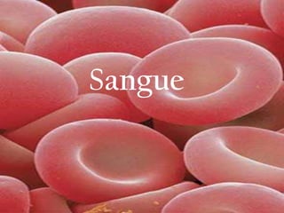 Sangue
 