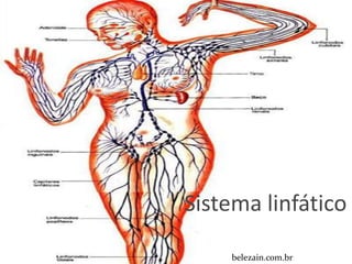 Sistema linfático

    belezain.com.br
 