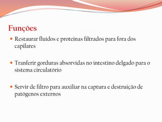 Funções
 Restaurar fluidos e proteinas filtrados para fora dos
  capilares

 Tranferir gorduras absorvidas no intestino delgado para o
  sistema circulatório

 Servir de filtro para auxiliar na captura e destruição de
  patógenos externos
 