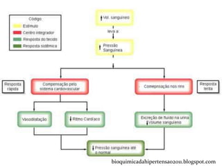 bioquimicadahipertensao2011.blogspot.com
 