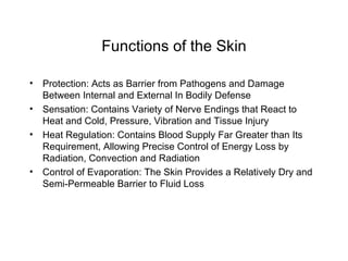Functions of the Skin Protection: Acts as Barrier from Pathogens and Damage Between Internal and External In Bodily Defense Sensation: Contains Variety of Nerve Endings that React to Heat and Cold, Pressure, Vibration and Tissue Injury Heat Regulation: Contains Blood Supply Far Greater than Its Requirement, Allowing Precise Control of Energy Loss by Radiation, Convection and Radiation Control of Evaporation: The Skin Provides a Relatively Dry and Semi-Permeable Barrier to Fluid Loss 