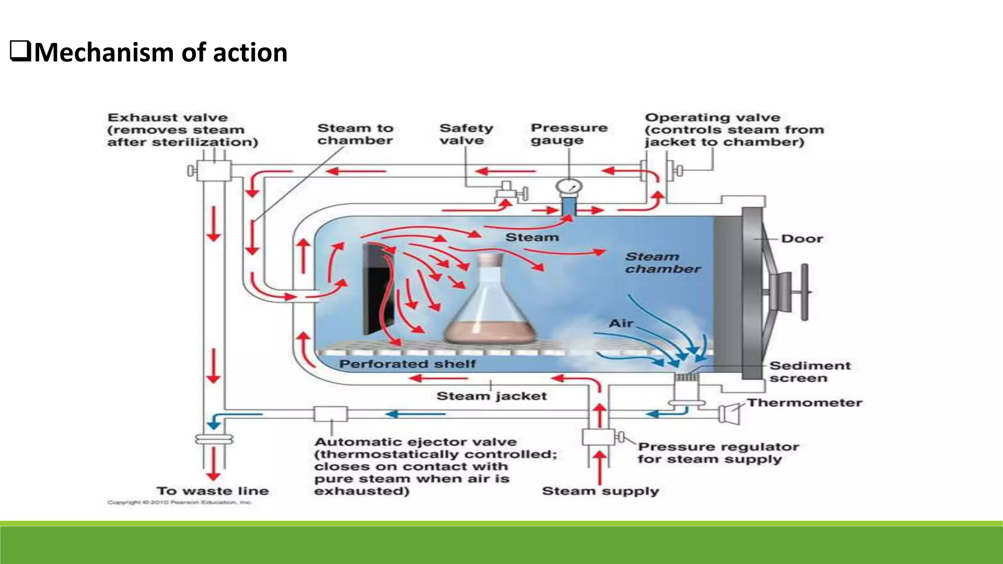 Mechanism of action
 