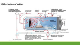 Mechanism of action
 