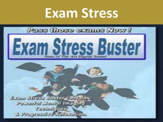 Exam Stress
 