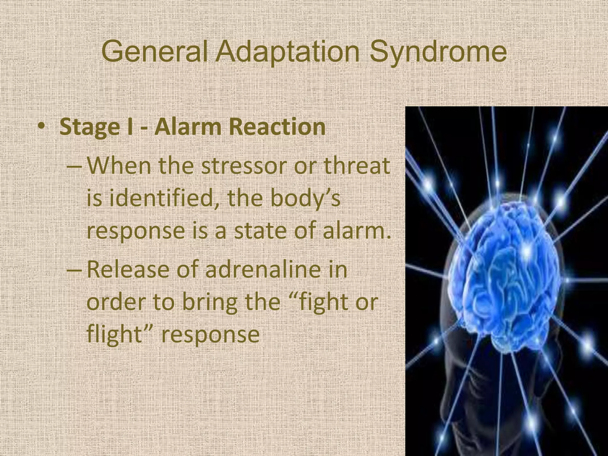 General Adaptation Syndrome

• Stage I - Alarm Reaction
   – When the stressor or threat
     is identified, the body’s
     response is a state of alarm.
   – Release of adrenaline in
     order to bring the “fight or
     flight” response
 