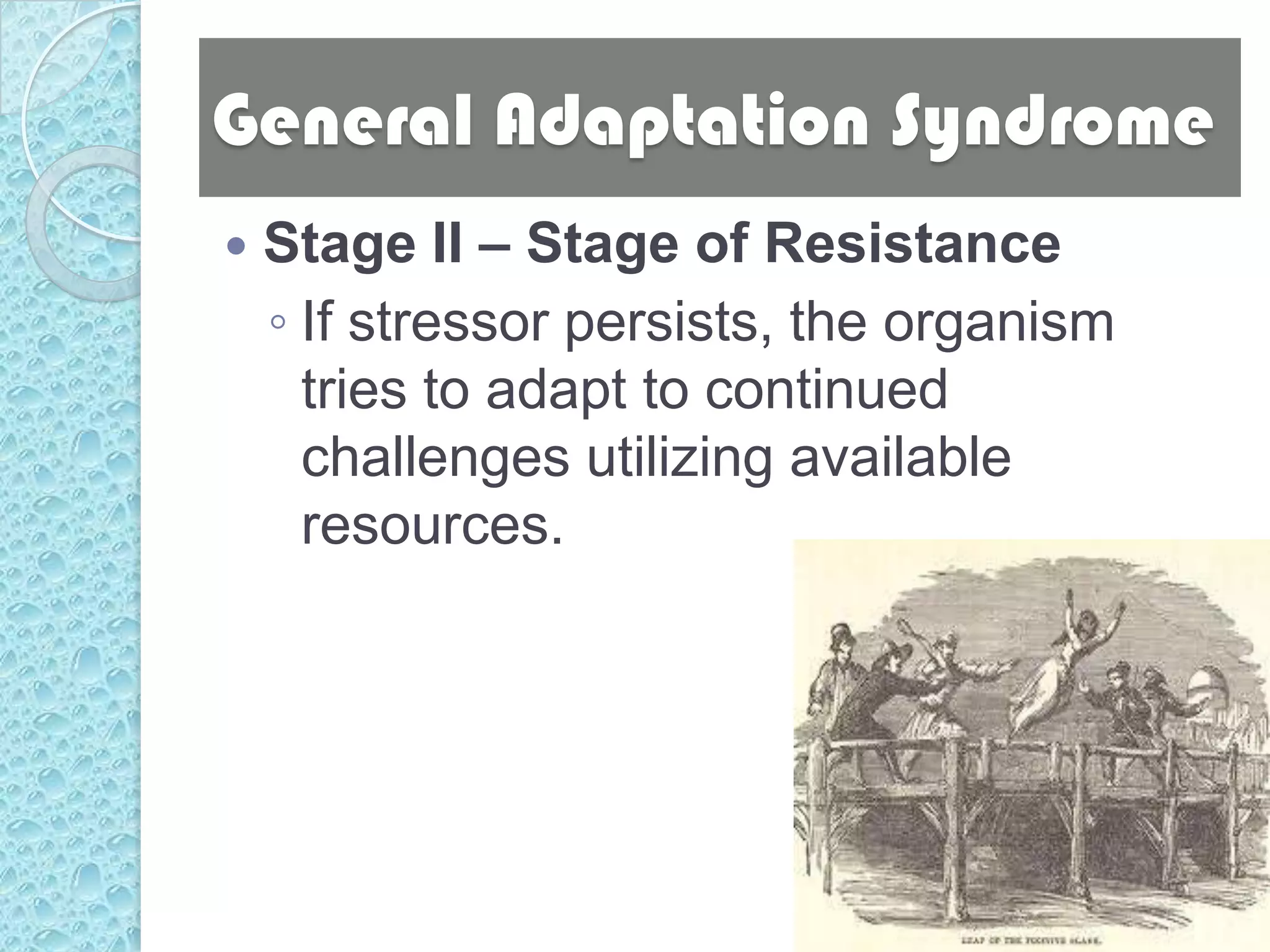 General Adaptation Syndrome
   Stage II – Stage of Resistance
    ◦ If stressor persists, the organism
      tries to adapt to continued
      challenges utilizing available
      resources.
 