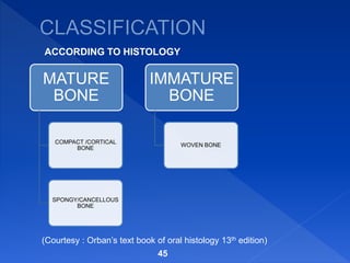 45
ACCORDING TO HISTOLOGY
MATURE
BONE
COMPACT /CORTICAL
BONE
SPONGY/CANCELLOUS
BONE
IMMATURE
BONE
WOVEN BONE
(Courtesy : Orban’s text book of oral histology 13th edition)
 