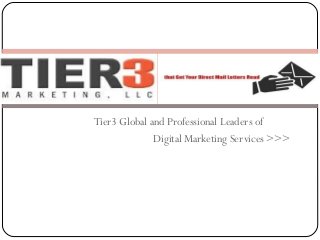 Tier3 Global and Professional Leaders of
Digital Marketing Services >>>
 