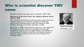 Presentation1 tobacco musaic.pptx