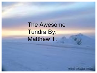 The Awesome Tundra By: Matthew T. 