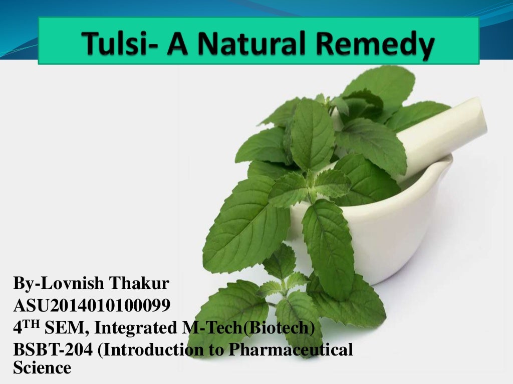 Tulsi A Natural Remedy