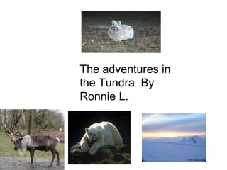The adventures in the Tundra  By Ronnie L. 