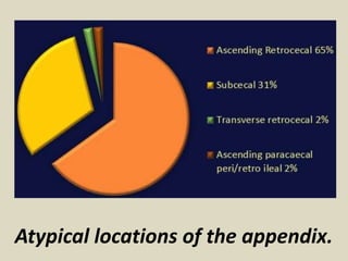 Appendix Loop Presentation1, ultrasound of the bowel loops and the lymph nodes. | PPTX
