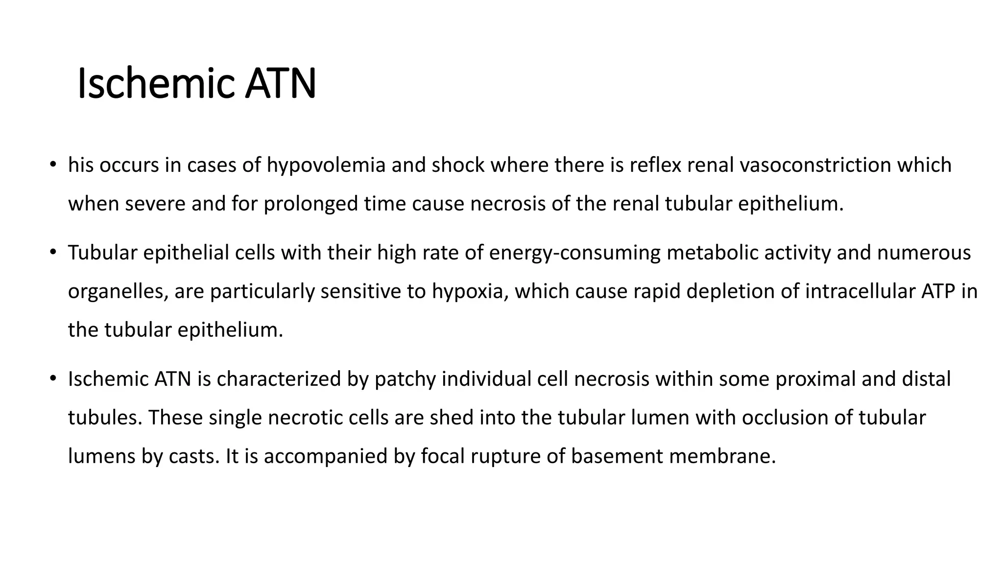 Ischemic ATN
• his occurs in cases of hypovolemia and shock where there is reflex renal vasoconstriction which
when severe and for prolonged time cause necrosis of the renal tubular epithelium.
• Tubular epithelial cells with their high rate of energy-consuming metabolic activity and numerous
organelles, are particularly sensitive to hypoxia, which cause rapid depletion of intracellular ATP in
the tubular epithelium.
• Ischemic ATN is characterized by patchy individual cell necrosis within some proximal and distal
tubules. These single necrotic cells are shed into the tubular lumen with occlusion of tubular
lumens by casts. It is accompanied by focal rupture of basement membrane.
 