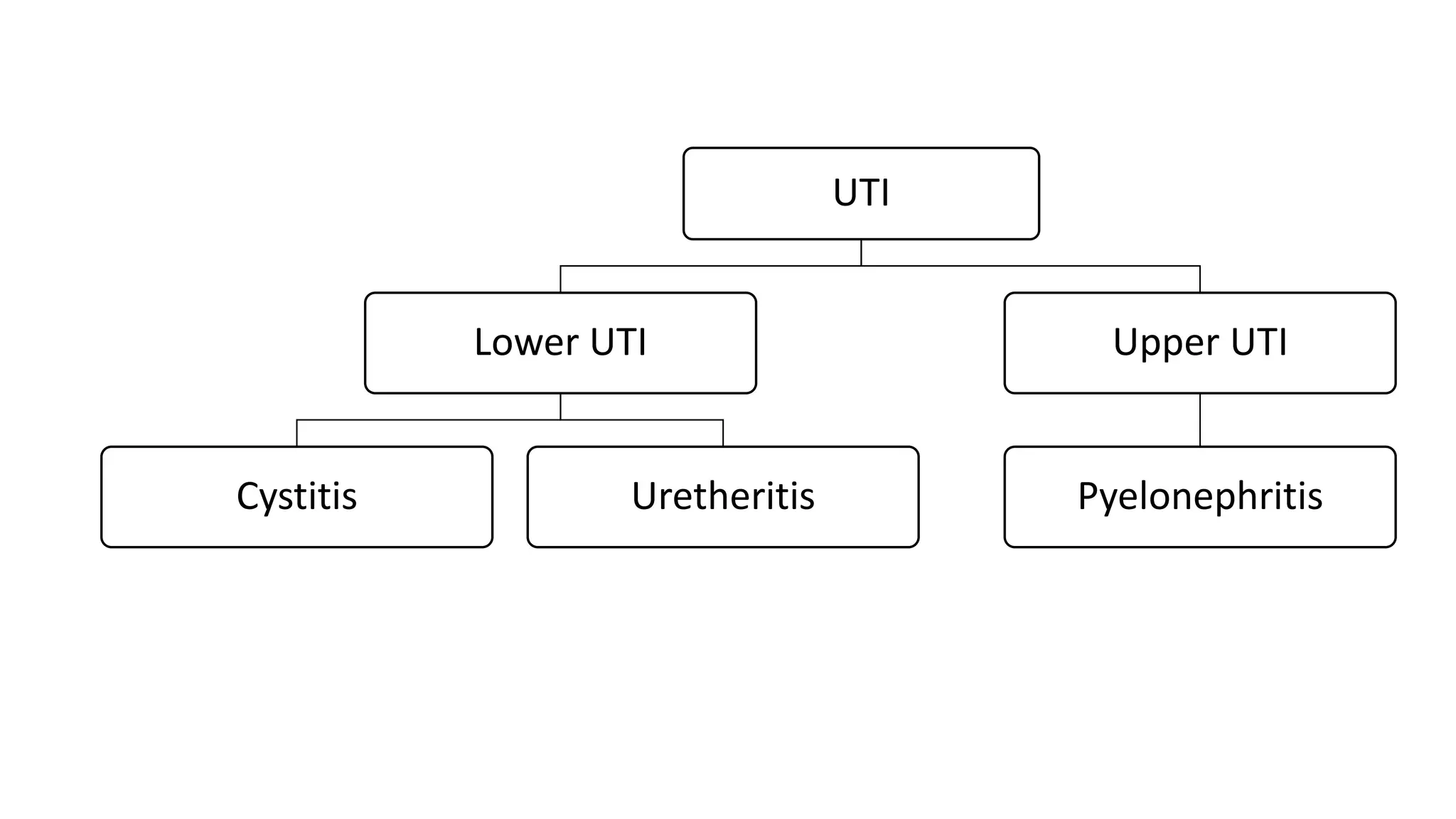 UTI
Lower UTI
Cystitis Uretheritis
Upper UTI
Pyelonephritis
 