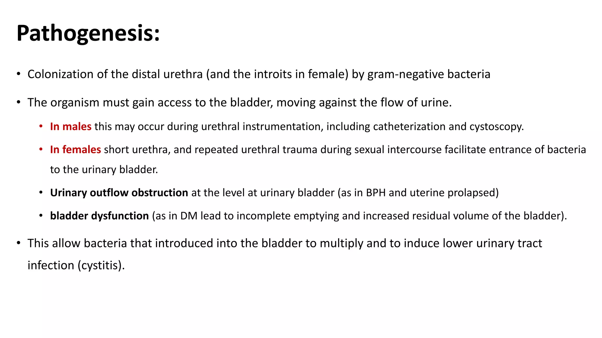 Pathogenesis:
• Colonization of the distal urethra (and the introits in female) by gram-negative bacteria
• The organism must gain access to the bladder, moving against the flow of urine.
• In males this may occur during urethral instrumentation, including catheterization and cystoscopy.
• In females short urethra, and repeated urethral trauma during sexual intercourse facilitate entrance of bacteria
to the urinary bladder.
• Urinary outflow obstruction at the level at urinary bladder (as in BPH and uterine prolapsed)
• bladder dysfunction (as in DM lead to incomplete emptying and increased residual volume of the bladder).
• This allow bacteria that introduced into the bladder to multiply and to induce lower urinary tract
infection (cystitis).
 