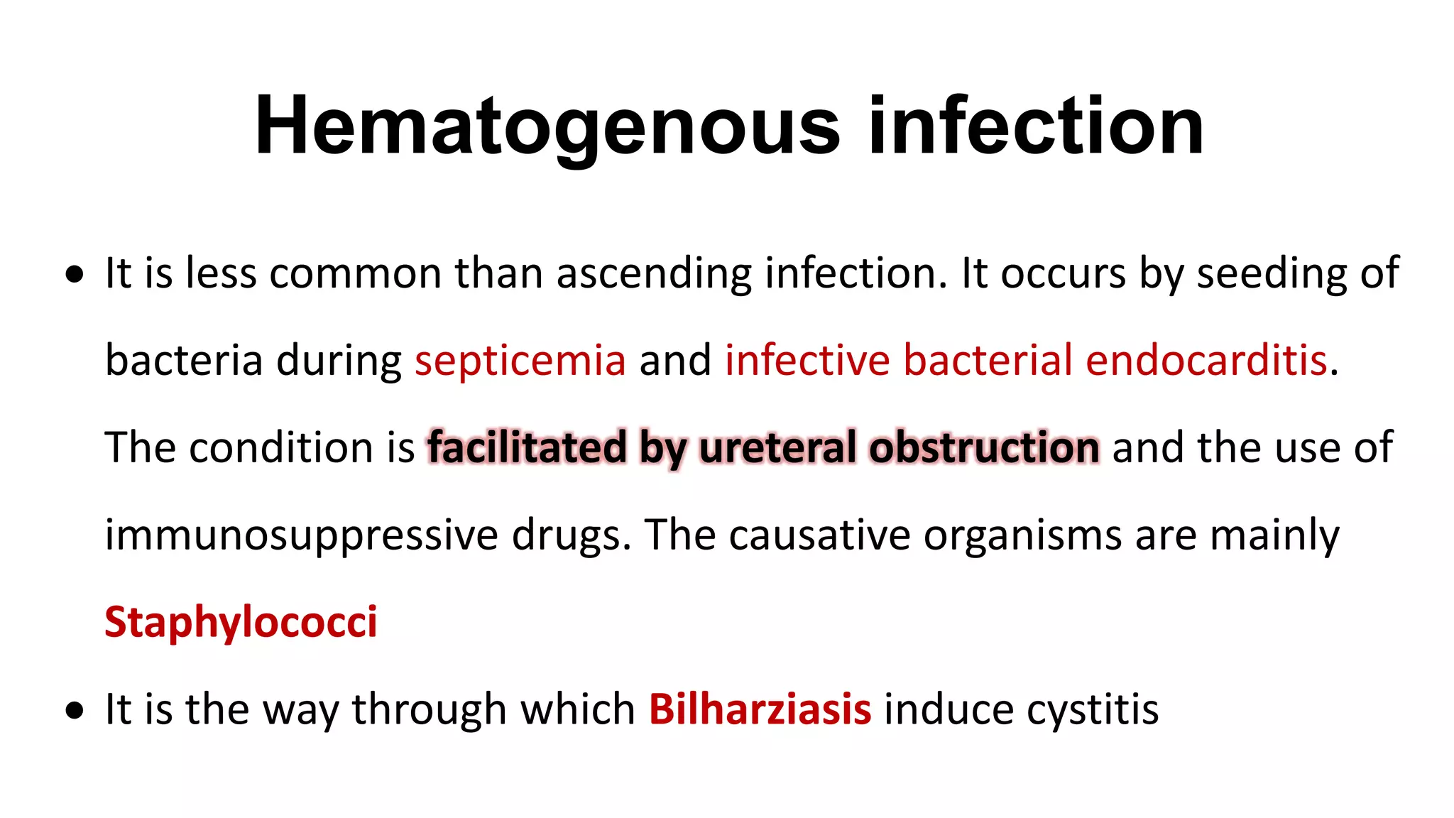 Hematogenous infection
 It is less common than ascending infection. It occurs by seeding of
bacteria during septicemia and infective bacterial endocarditis.
The condition is facilitated by ureteral obstruction and the use of
immunosuppressive drugs. The causative organisms are mainly
Staphylococci
 It is the way through which Bilharziasis induce cystitis
 