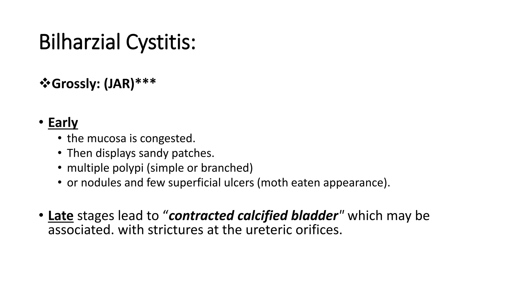 Bilharzial Cystitis:
Grossly: (JAR)***
• Early
• the mucosa is congested.
• Then displays sandy patches.
• multiple polypi (simple or branched)
• or nodules and few superficial ulcers (moth eaten appearance).
• Late stages lead to “contracted calcified bladder" which may be
associated. with strictures at the ureteric orifices.
 