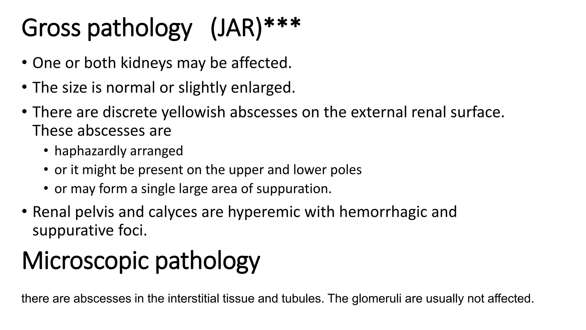Gross pathology (JAR)***
• One or both kidneys may be affected.
• The size is normal or slightly enlarged.
• There are discrete yellowish abscesses on the external renal surface.
These abscesses are
• haphazardly arranged
• or it might be present on the upper and lower poles
• or may form a single large area of suppuration.
• Renal pelvis and calyces are hyperemic with hemorrhagic and
suppurative foci.
Microscopic pathology
there are abscesses in the interstitial tissue and tubules. The glomeruli are usually not affected.
 