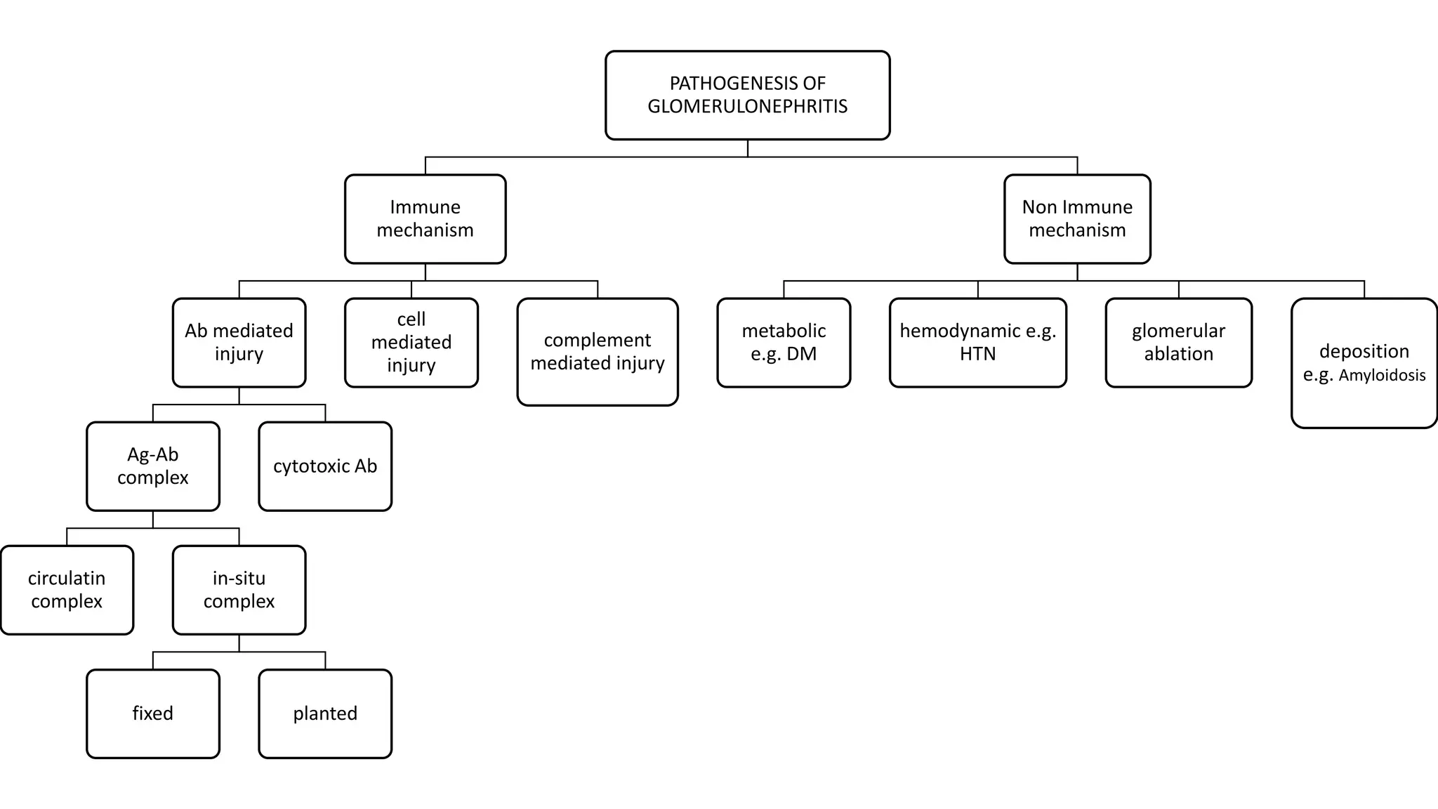 PATHOGENESIS OF
GLOMERULONEPHRITIS
Immune
mechanism
Ab mediated
injury
Ag-Ab
complex
circulatin
complex
in-situ
complex
fixed planted
cytotoxic Ab
cell
mediated
injury
complement
mediated injury
Non Immune
mechanism
metabolic
e.g. DM
hemodynamic e.g.
HTN
glomerular
ablation deposition
e.g. Amyloidosis
 