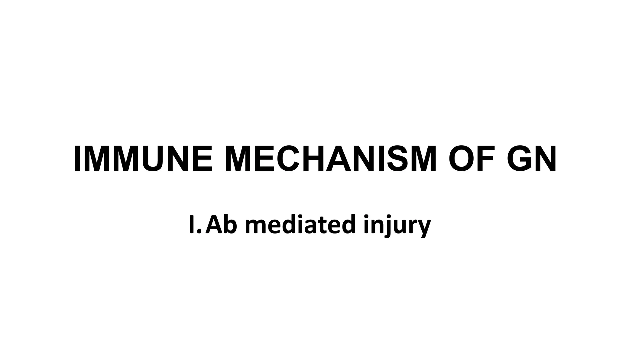 IMMUNE MECHANISM OF GN
I.Ab mediated injury
 