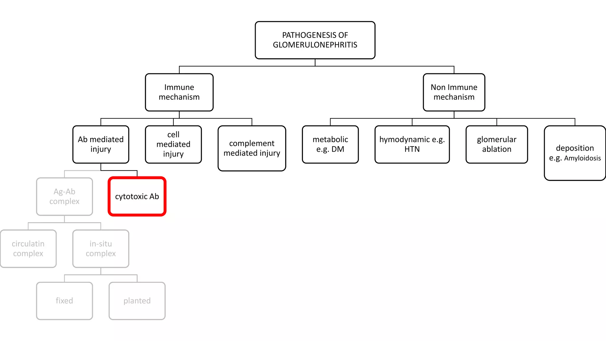 PATHOGENESIS OF
GLOMERULONEPHRITIS
Immune
mechanism
Ab mediated
injury
Ag-Ab
complex
circulatin
complex
in-situ
complex
fixed planted
cytotoxic Ab
cell
mediated
injury
complement
mediated injury
Non Immune
mechanism
metabolic
e.g. DM
hymodynamic e.g.
HTN
glomerular
ablation deposition
e.g. Amyloidosis
PATHOGENESIS OF
GLOMERULONEPHRITIS
Immune
mechanism
Ab mediated
injury
Ag-Ab
complex
circulatin
complex
in-situ
complex
fixed planted
cytotoxic Ab
cell
mediated
injury
complement
mediated injury
Non Immune
mechanism
metabolic
e.g. DM
hymodynamic e.g.
HTN
glomerular
ablation deposition
e.g. Amyloidosis
 