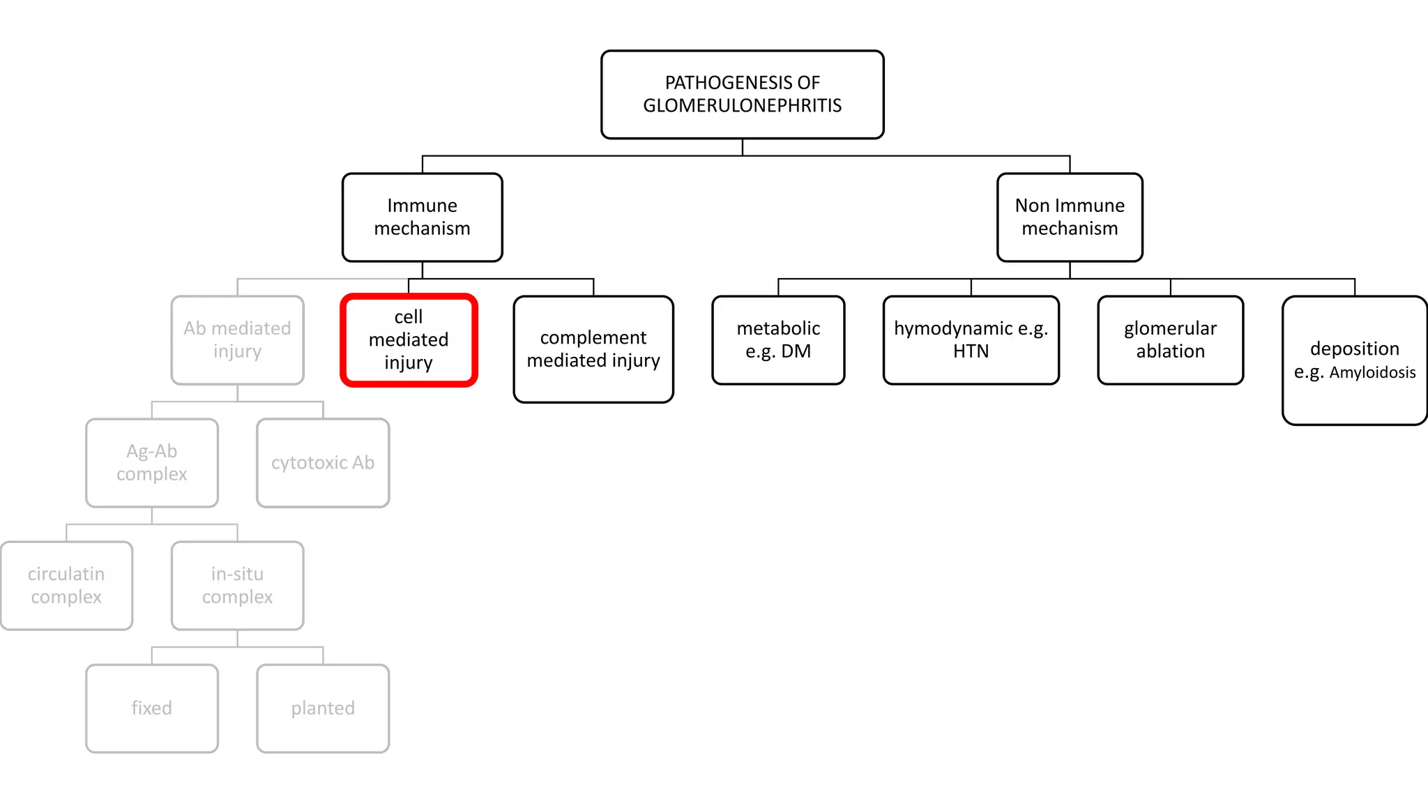 PATHOGENESIS OF
GLOMERULONEPHRITIS
Immune
mechanism
Ab mediated
injury
Ag-Ab
complex
circulatin
complex
in-situ
complex
fixed planted
cytotoxic Ab
cell
mediated
injury
complement
mediated injury
Non Immune
mechanism
metabolic
e.g. DM
hymodynamic e.g.
HTN
glomerular
ablation deposition
e.g. Amyloidosis
PATHOGENESIS OF
GLOMERULONEPHRITIS
Immune
mechanism
Ab mediated
injury
Ag-Ab
complex
circulatin
complex
in-situ
complex
fixed planted
cytotoxic Ab
cell
mediated
injury
complement
mediated injury
Non Immune
mechanism
metabolic
e.g. DM
hymodynamic e.g.
HTN
glomerular
ablation deposition
e.g. Amyloidosis
 