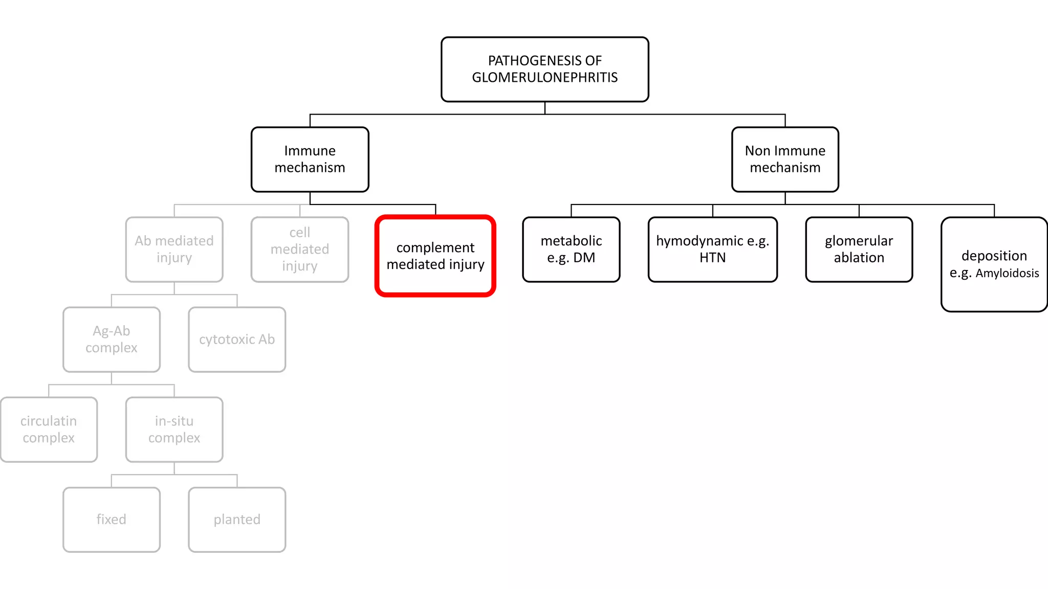 PATHOGENESIS OF
GLOMERULONEPHRITIS
Immune
mechanism
Ab mediated
injury
Ag-Ab
complex
circulatin
complex
in-situ
complex
fixed planted
cytotoxic Ab
cell
mediated
injury
complement
mediated injury
Non Immune
mechanism
metabolic
e.g. DM
hymodynamic e.g.
HTN
glomerular
ablation deposition
e.g. Amyloidosis
PATHOGENESIS OF
GLOMERULONEPHRITIS
Immune
mechanism
Ab mediated
injury
Ag-Ab
complex
circulatin
complex
in-situ
complex
fixed planted
cytotoxic Ab
cell
mediated
injury
complement
mediated injury
Non Immune
mechanism
metabolic
e.g. DM
hymodynamic e.g.
HTN
glomerular
ablation deposition
e.g. Amyloidosis
 