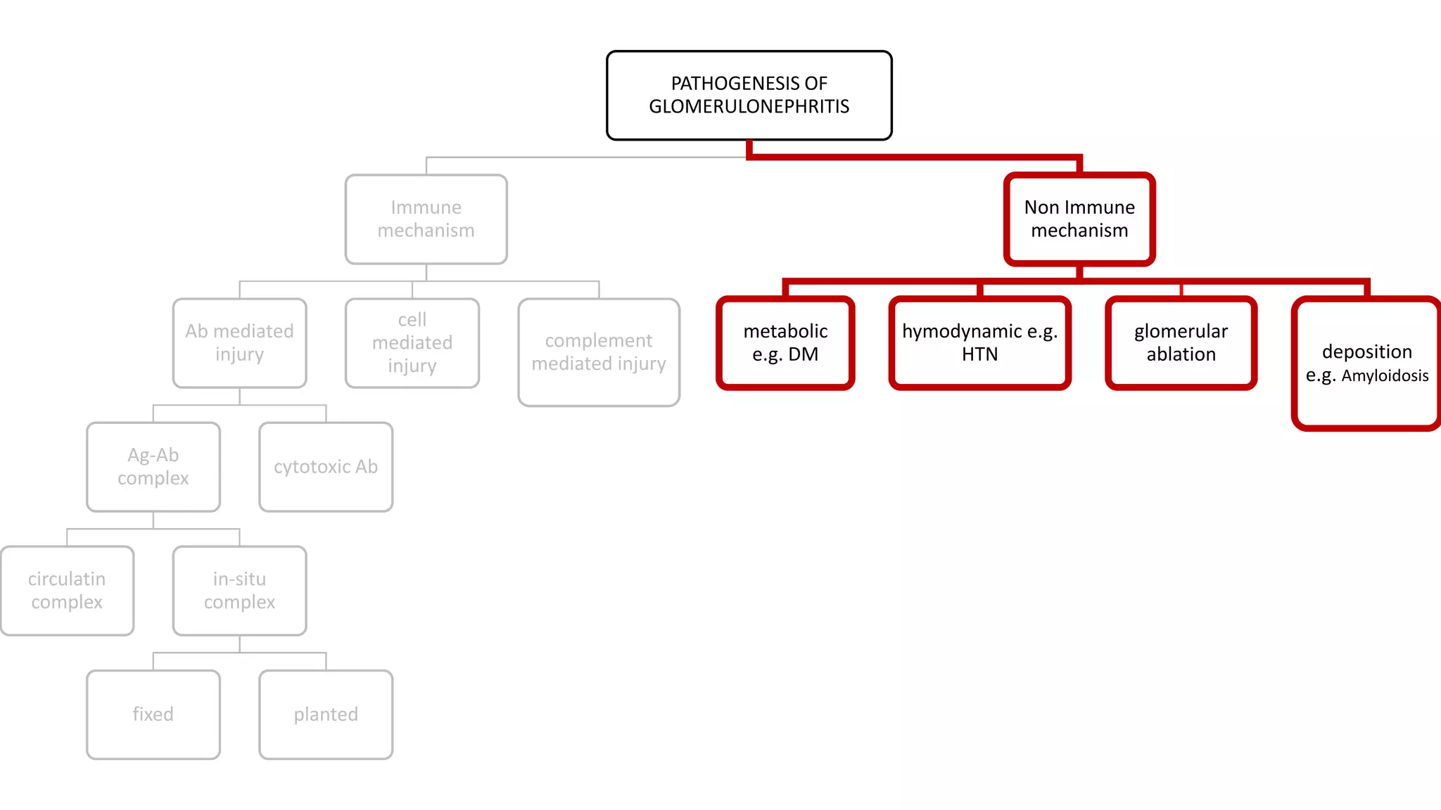 PATHOGENESIS OF
GLOMERULONEPHRITIS
Immune
mechanism
Ab mediated
injury
Ag-Ab
complex
circulatin
complex
in-situ
complex
fixed planted
cytotoxic Ab
cell
mediated
injury
complement
mediated injury
Non Immune
mechanism
metabolic
e.g. DM
hymodynamic e.g.
HTN
glomerular
ablation deposition
e.g. Amyloidosis
PATHOGENESIS OF
GLOMERULONEPHRITIS
Immune
mechanism
Ab mediated
injury
Ag-Ab
complex
circulatin
complex
in-situ
complex
fixed planted
cytotoxic Ab
cell
mediated
injury
complement
mediated injury
Non Immune
mechanism
metabolic
e.g. DM
hymodynamic e.g.
HTN
glomerular
ablation deposition
e.g. Amyloidosis
PATHOGENESIS OF
GLOMERULONEPHRITIS
Immune
mechanism
Ab mediated
injury
Ag-Ab
complex
circulatin
complex
in-situ
complex
fixed planted
cytotoxic Ab
cell
mediated
injury
complement
mediated injury
Non Immune
mechanism
metabolic
e.g. DM
hymodynamic e.g.
HTN
glomerular
ablation deposition
e.g. Amyloidosis
 