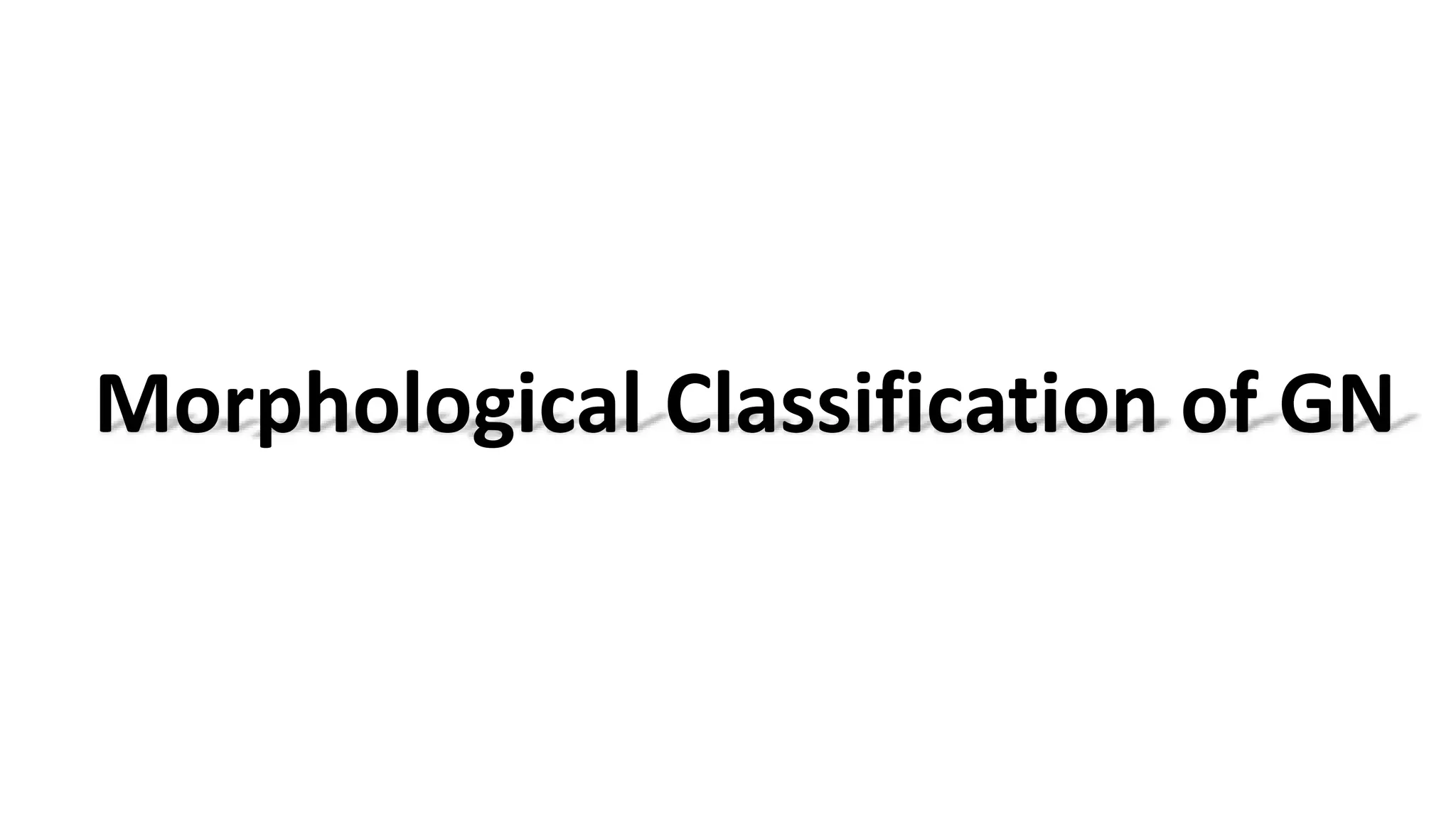 Morphological Classification of GN
 