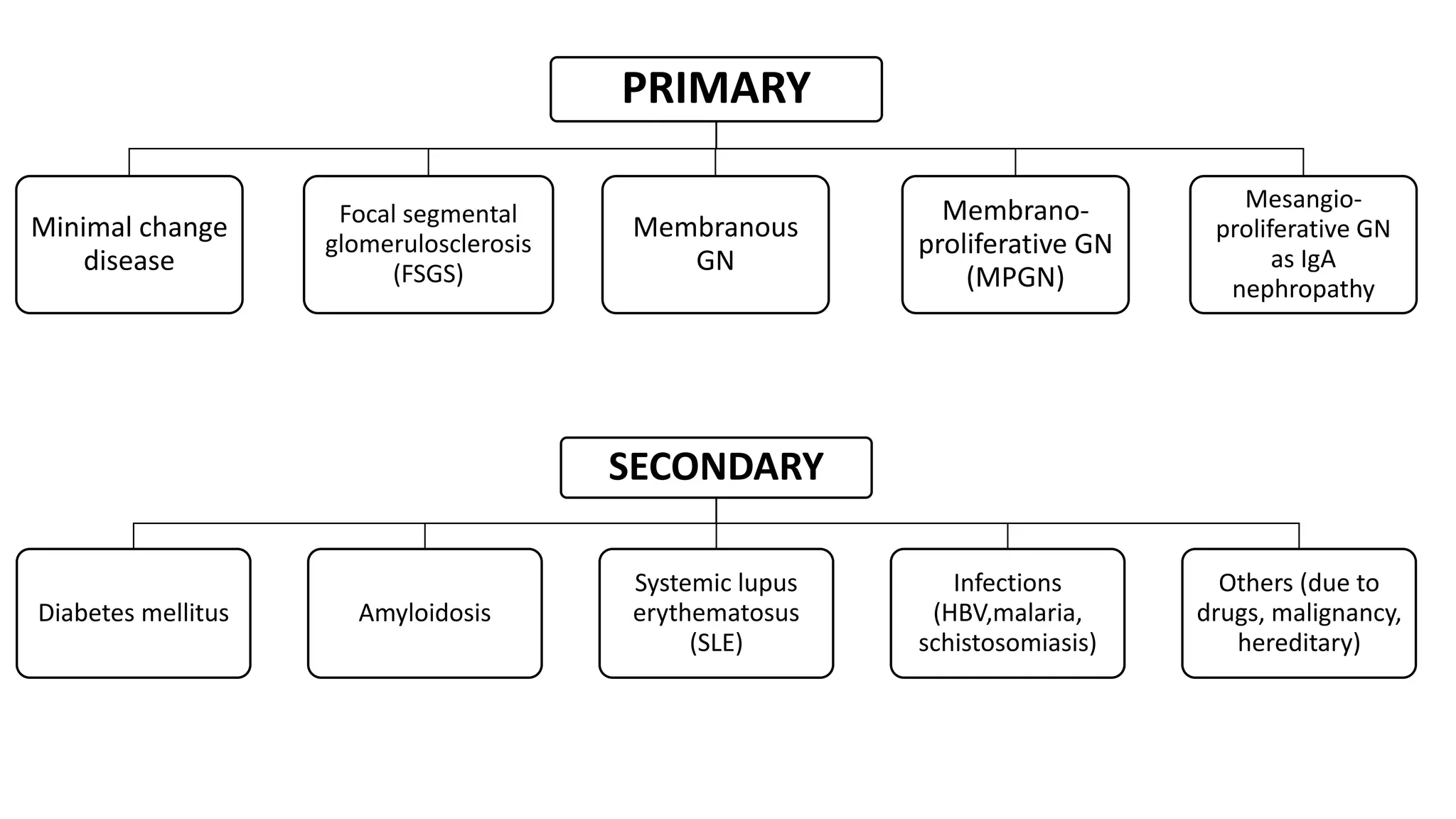 PRIMARY
Minimal change
disease
Focal segmental
glomerulosclerosis
(FSGS)
Membranous
GN
Membrano-
proliferative GN
(MPGN)
Mesangio-
proliferative GN
as IgA
nephropathy
SECONDARY
Diabetes mellitus Amyloidosis
Systemic lupus
erythematosus
(SLE)
Infections
(HBV,malaria,
schistosomiasis)
Others (due to
drugs, malignancy,
hereditary)
 