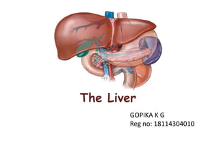 The Liver
GOPIKA K G
Reg no: 18114304010
 