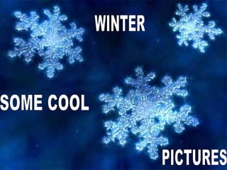 cool winter pictures